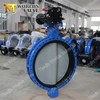 Flanged U Type Butterfly Valve with Full EPDM Rubber Lined