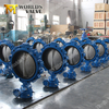 Tapped Threaded hole Lugged Butterfly valve with Lever Gear Operator