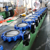 FC20 FCD40 JIS 5k 10k Butterfly Valve with Threaded Hole