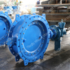  Eccentric Double Flanged Butterfly Valve with Electric Actuator