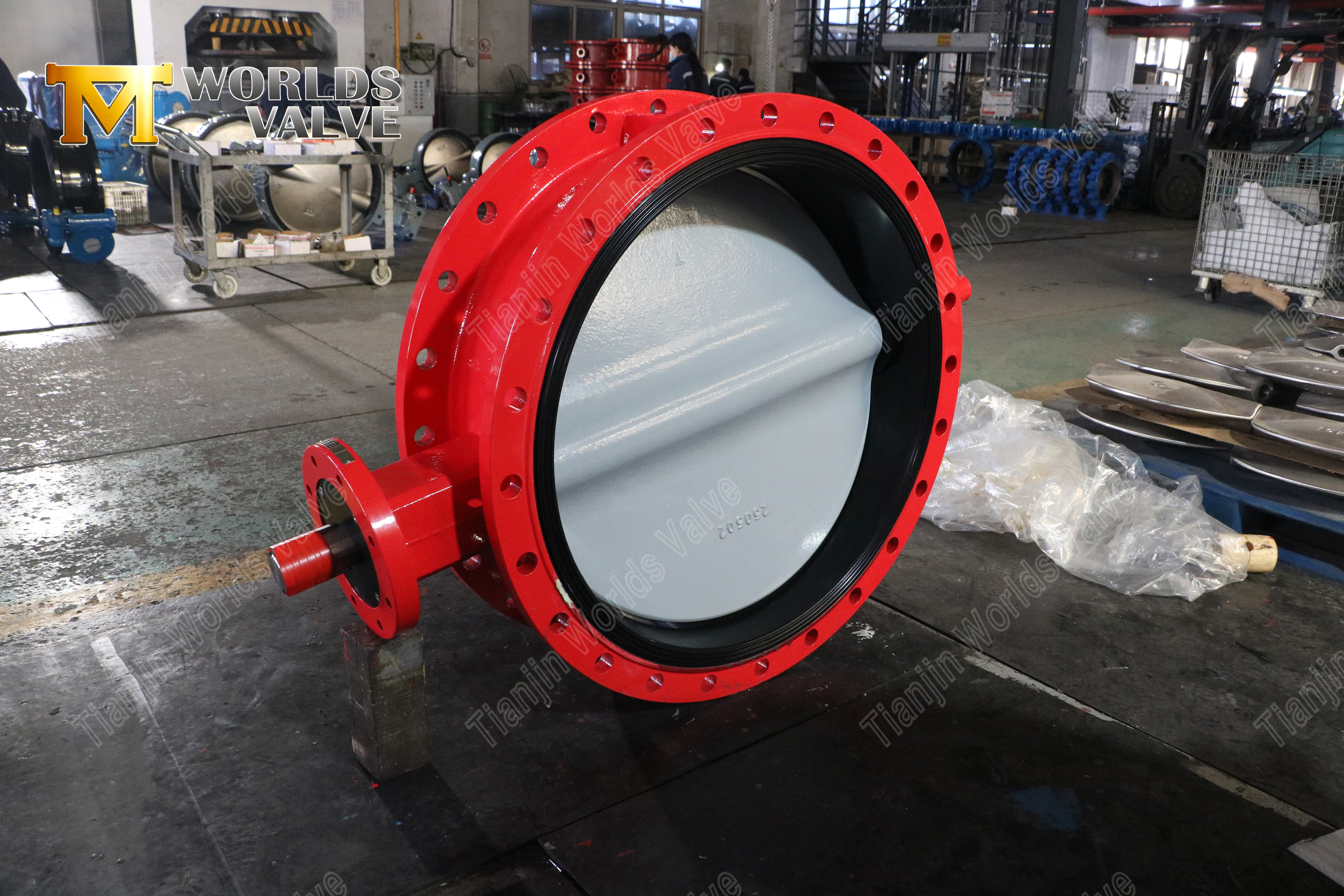 Double Flanged Butterfly Valve with Nylon-Coated DI Disc (7)
