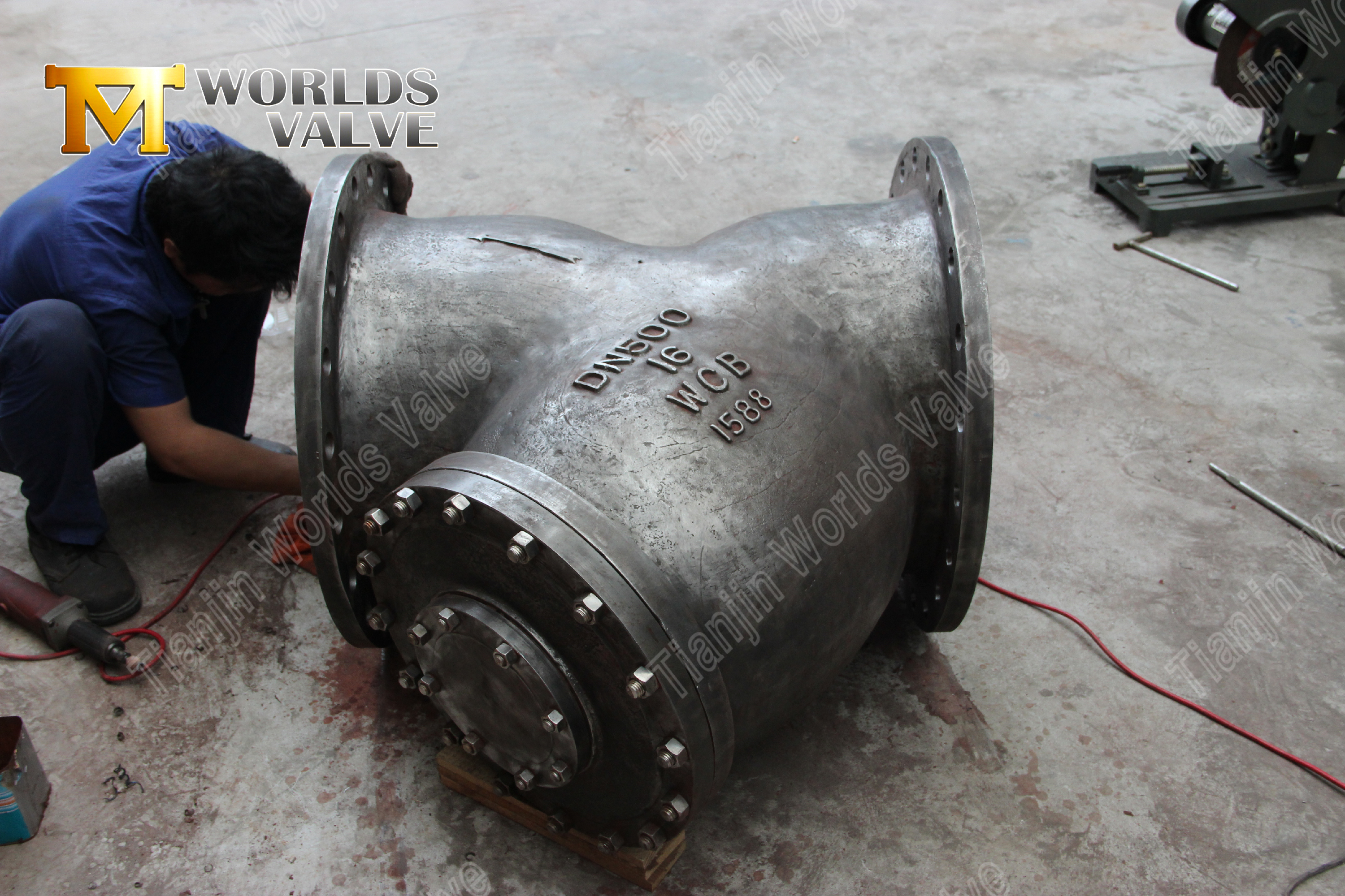 Flanged Y Type Strainer WCB Carbon Steel Industrial Pipeline Protection (9)