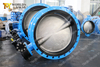 ANSI Class 150 FF RF flanged Double Flanged Butterfly Valve Bonded Rubber Seat