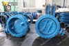 Double Eccentric Double Flange Butterfly Valve with WRAS ACS Certificate EN558 Series13 Series14