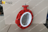 Lugged And Tapped Butterfly Valve with SS Disc And PTFE Liner