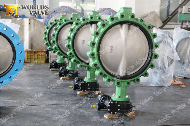 DN600 Lugged And Tapped Resilient Butterfly Valve 