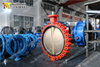 DN750 30 Inches Lug Butterfly Valve with Aluminium Bronze Disc