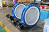 Concentric Double flanged Type PFA lining disc Butterfly Valves 