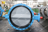 Nylon Coating Disc Double U-section Flanged Butterfly Valve with Loose Liner Seat