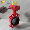 PN6 PN10 PN16 PN25 CL125 Cl150 Two shaft Butterfly Valves with AS TableD Table E Flanges Connection