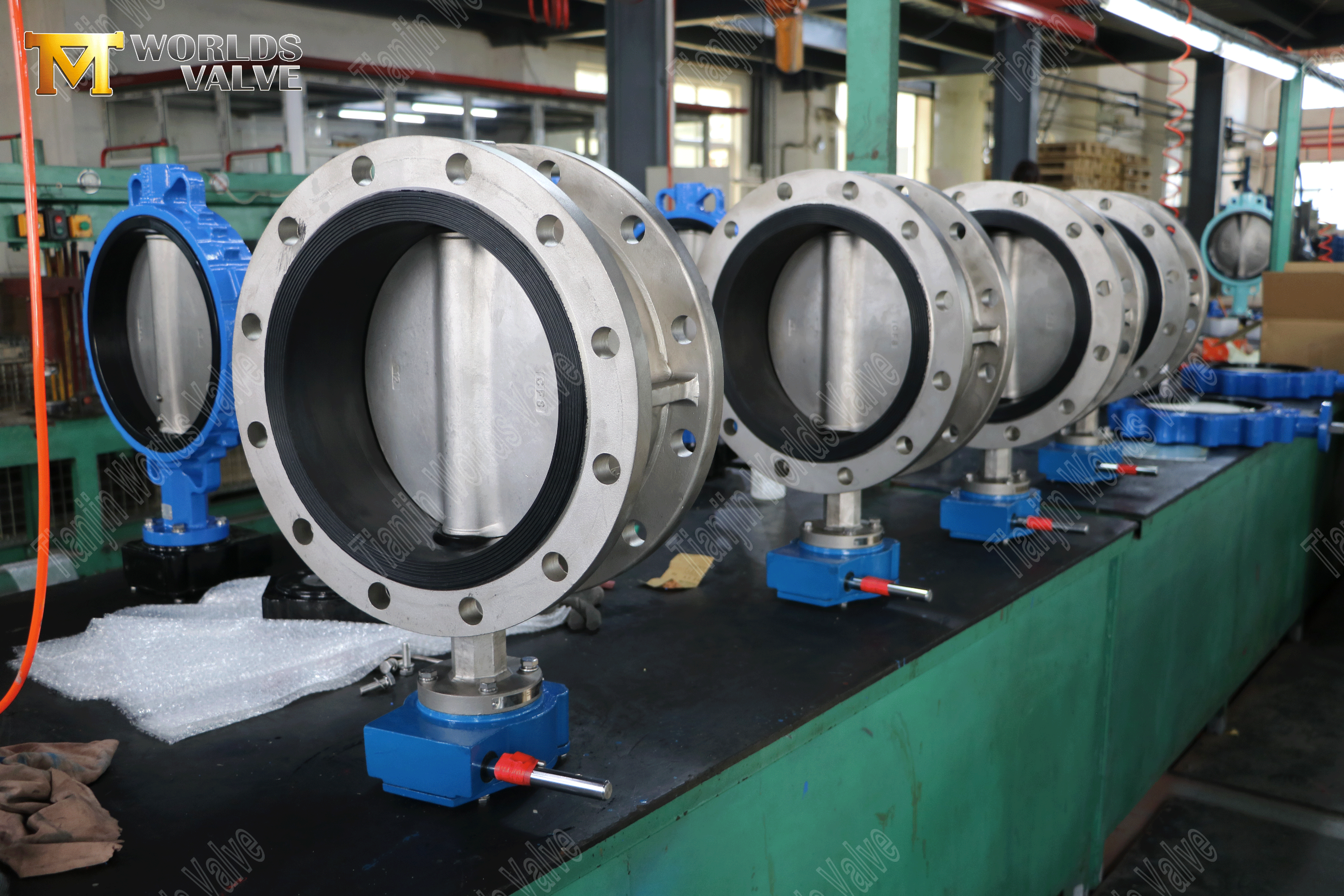 Butterfly Valve Manufacturers - Resilient Seated Double Flanged Butterfly Valve (3)