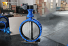 Double Flanged Butterfly Valve with Long Stem and Gear Operator provided by China OEM Valve Supplier-Tianjin Worlds Valve