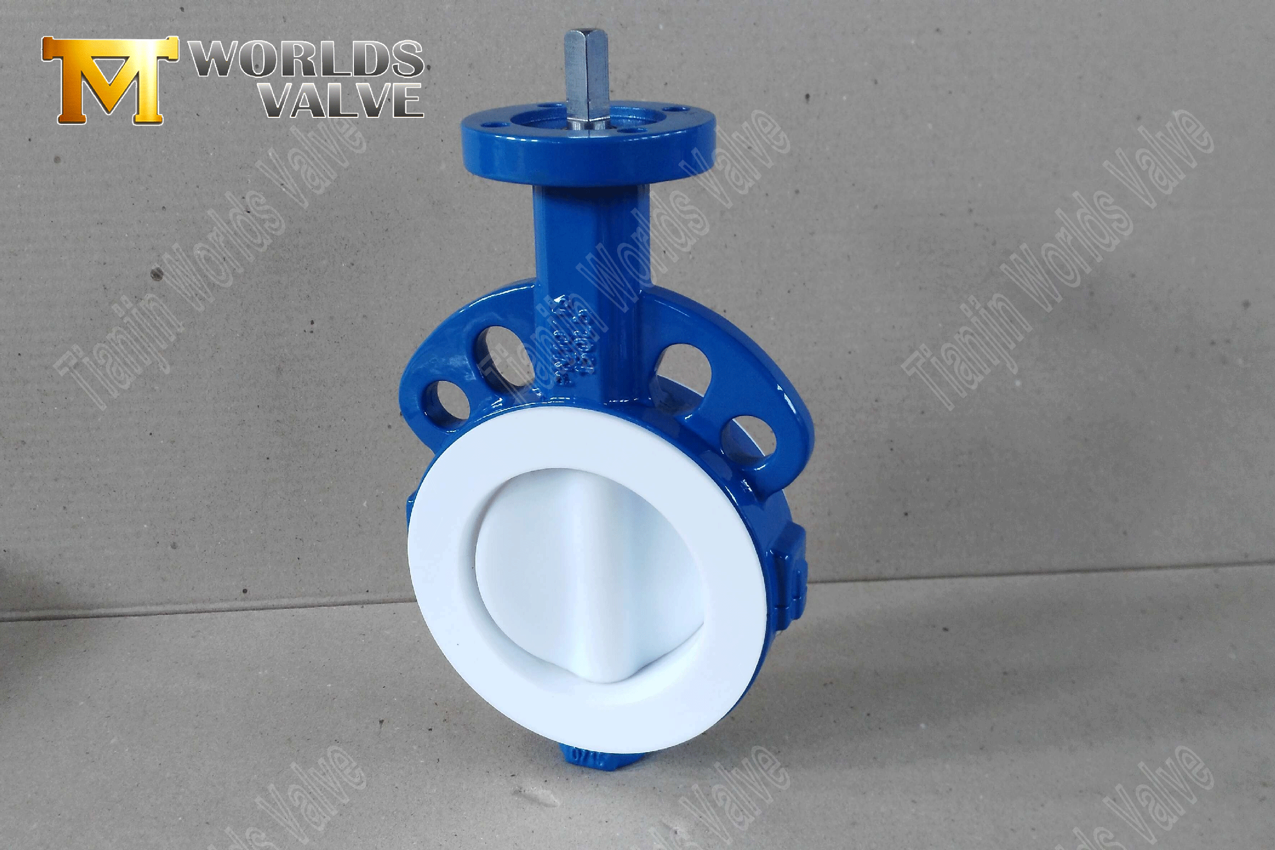 PTFE-Lined-butterfly-valve2