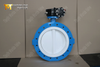 Lug Butterfly Valve with PTFE Full Lined Disc and Gearbox Produced By Professional Valve Manufacturer-Tianjin Worlds Valve