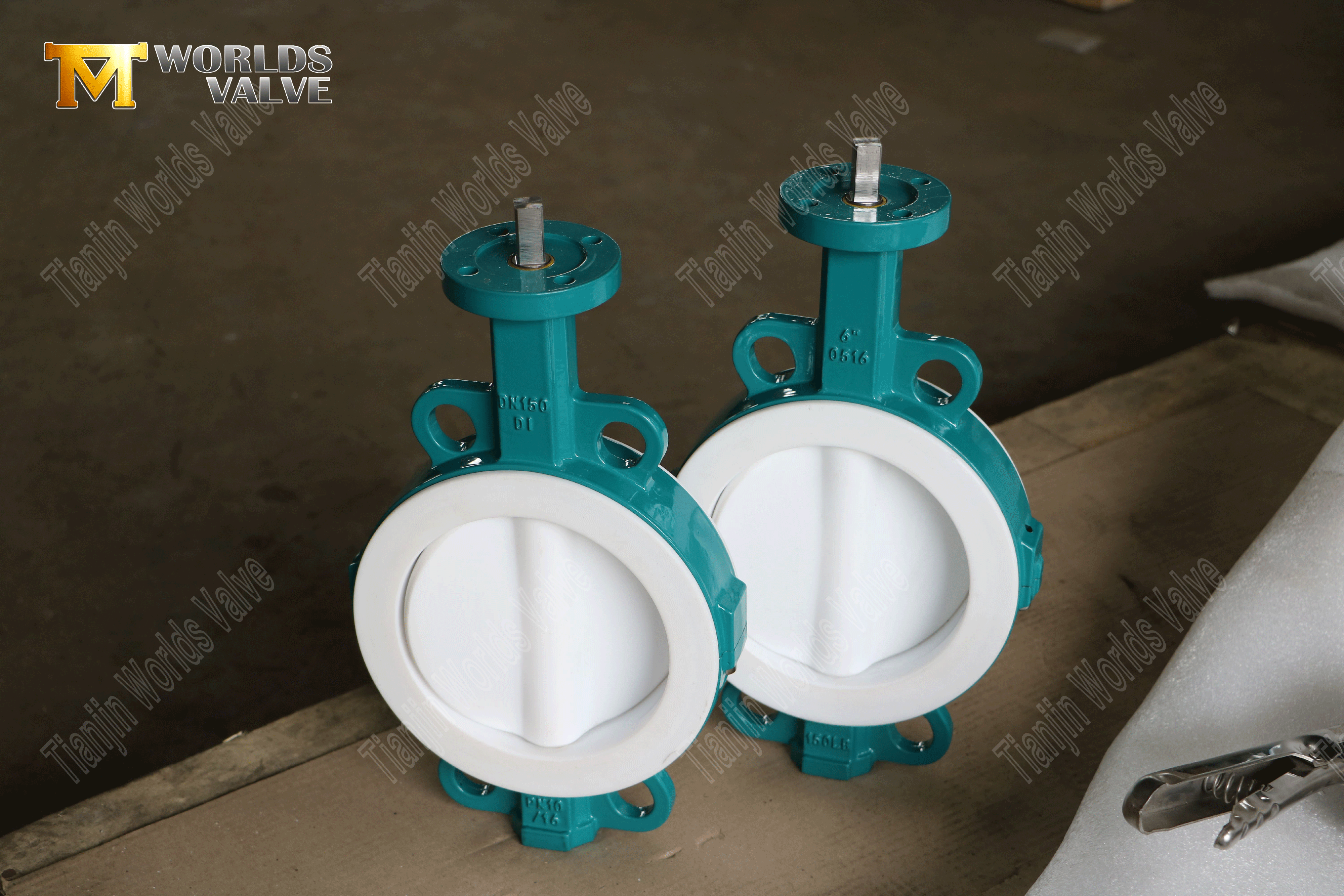 Teflon Lined Butterfly Valve Manufacturer-High Performance Wafer Type Butterfly Valve (4)