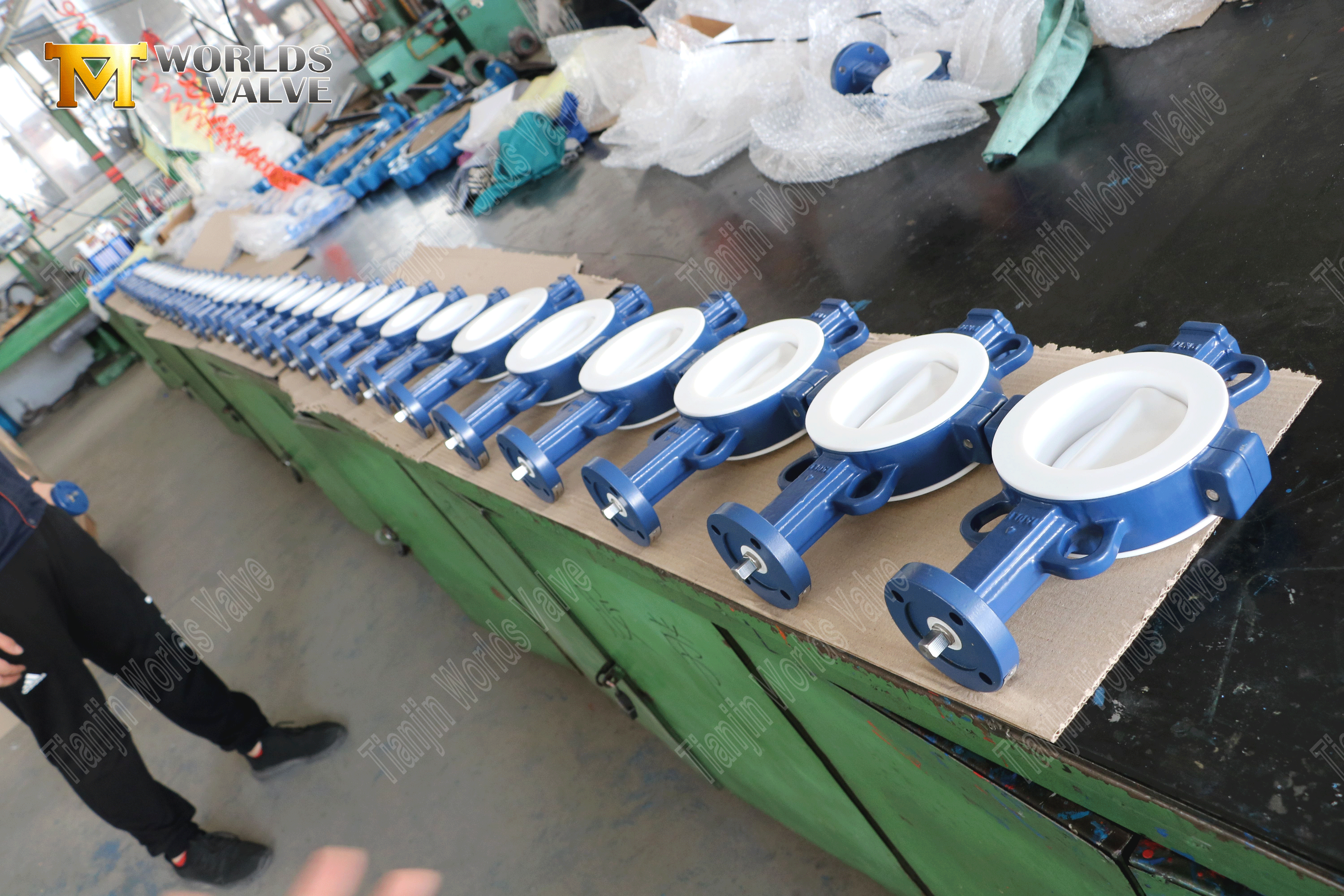 Teflon Lined Butterfly Valve Manufacturer-High Performance Wafer Type Butterfly Valve (7)