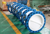 TWO Piece split body designing PTFE PFA liner Concentric Butterfly Valves 