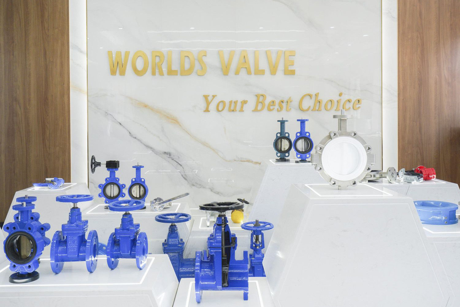 Tianjin-Worlds-Valve-Co-Ltd--(8)