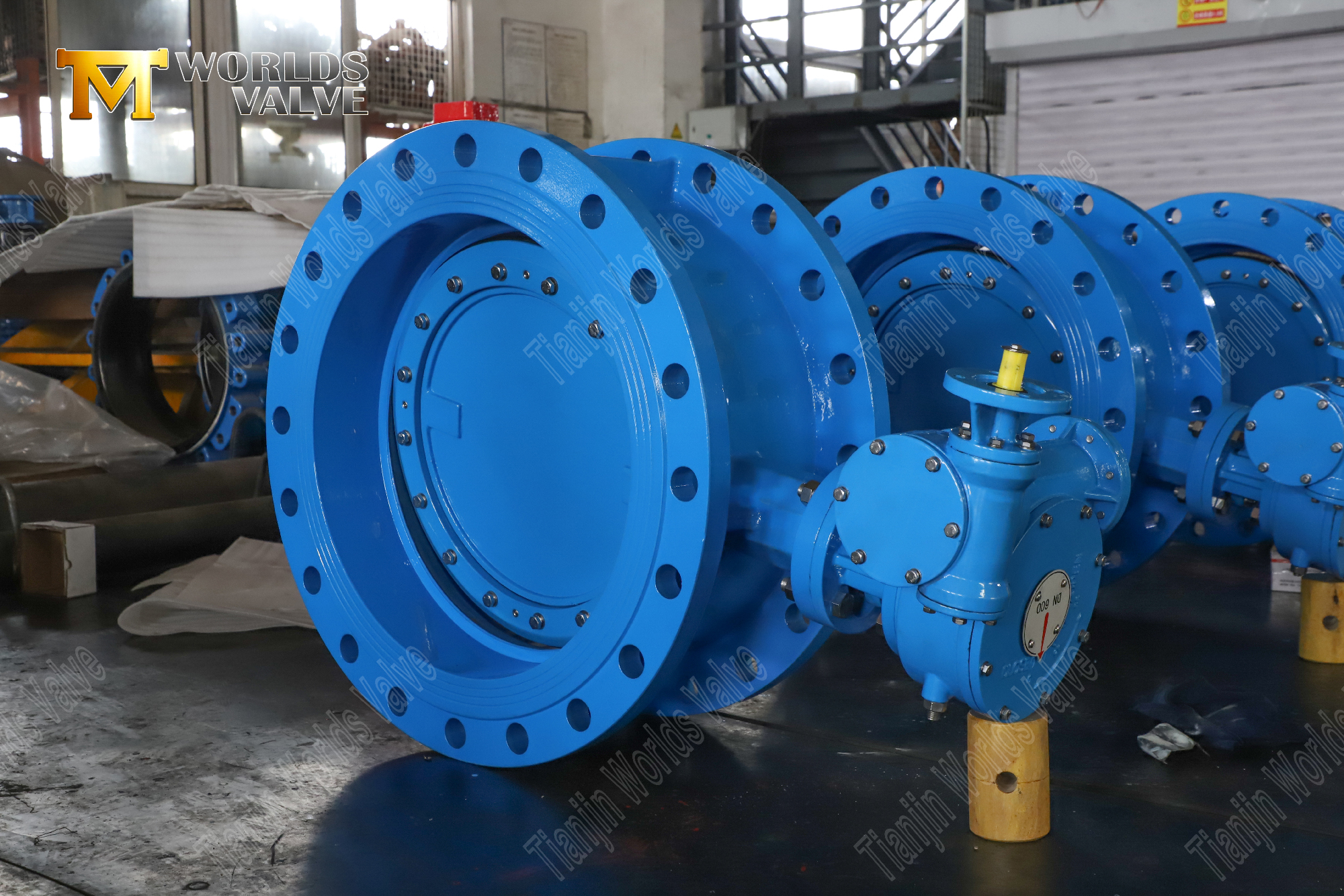 Double Offset PN25 Butterfly Valve with Double Flanges and Gear Operator-3 (1)