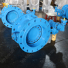 Double Offset Butterfly Valve with Double Flanges And Gear Operator PN25 offered by China OEM Valve Supplier