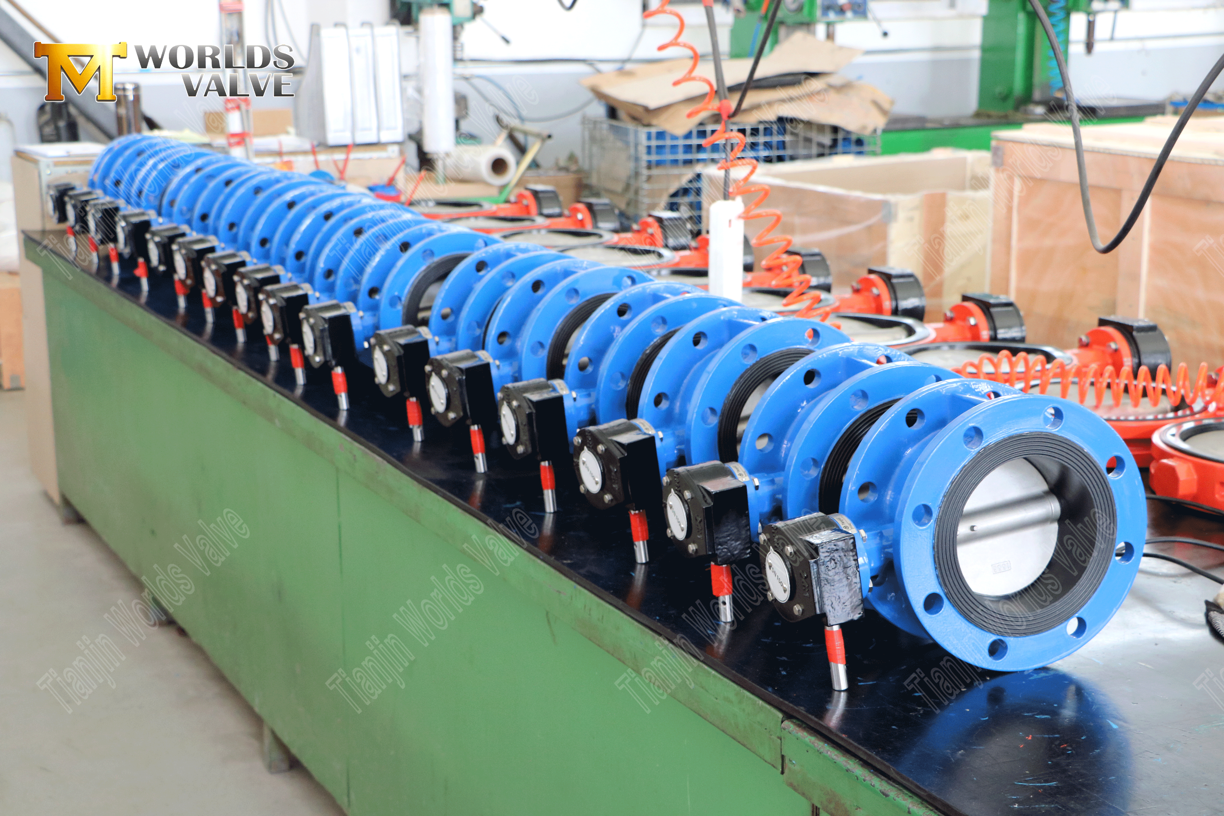 Double Flanged Butterfly Valve with Full SS Body & Disc-2 (2)