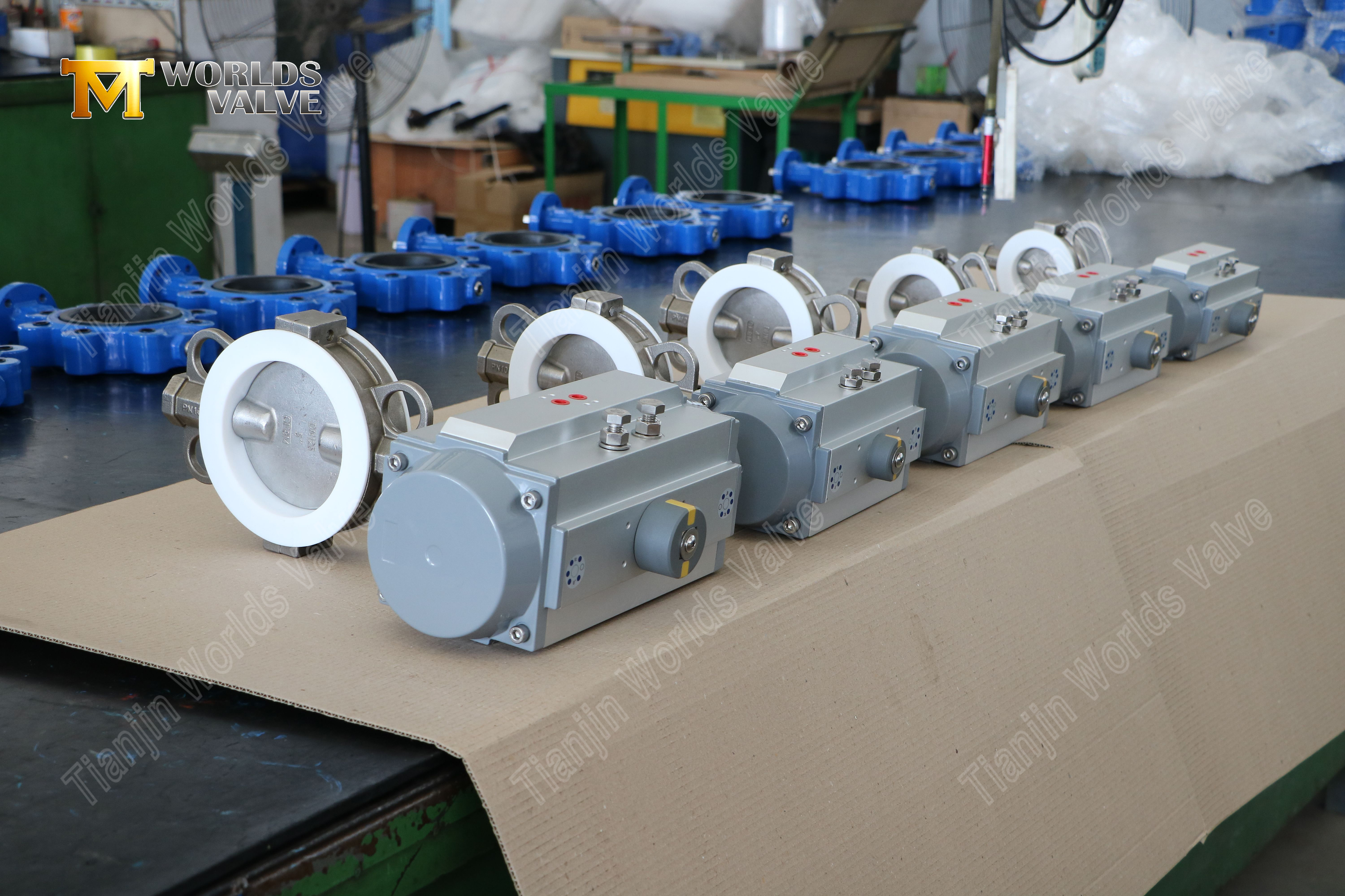 Split-Body-PTFE-Lined-SS-Butterfly-Valve-with-Pneumatic-Actuation-4