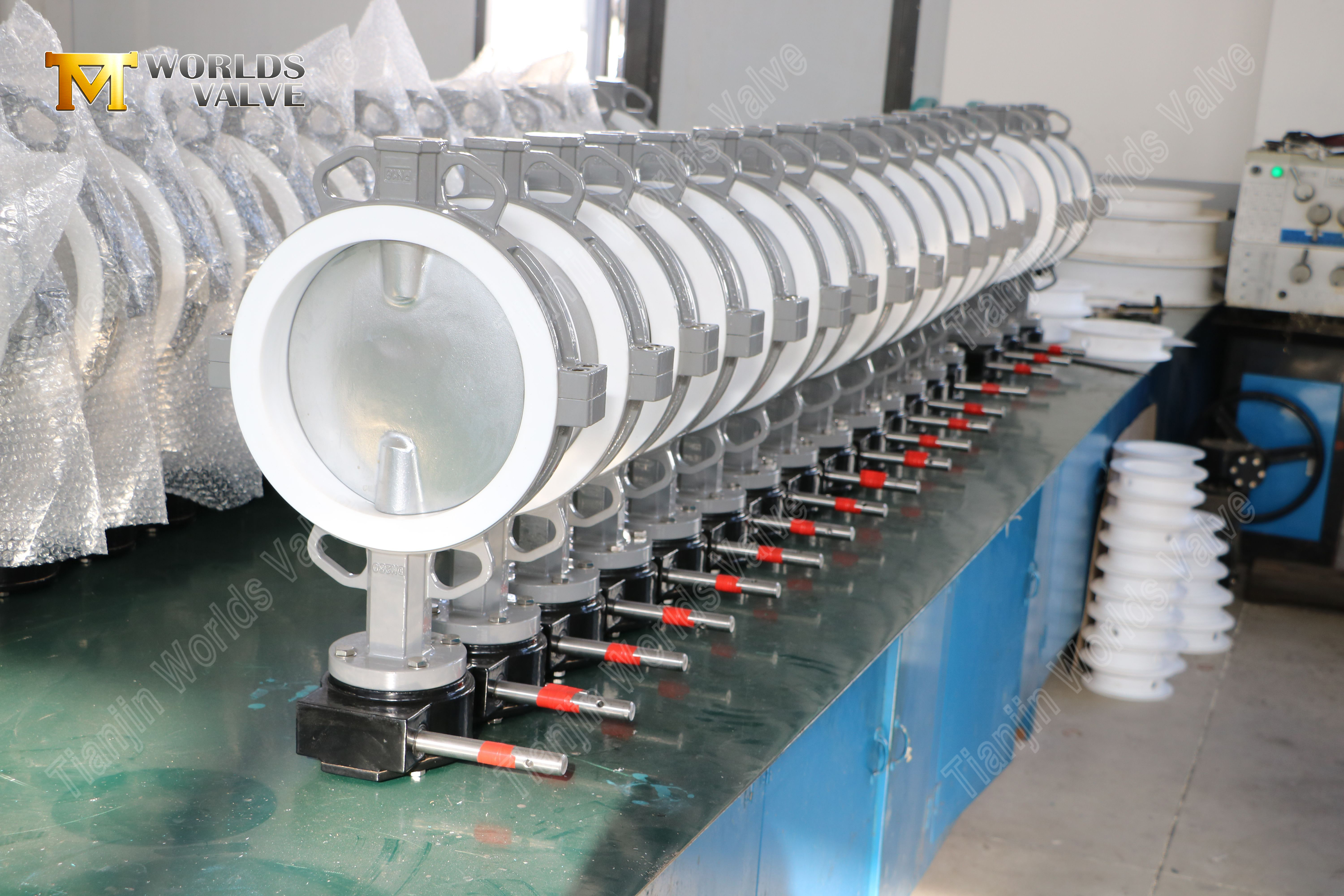 Split-Body-PTFE-Lined-SS-Butterfly-Valve-with-Pneumatic-Actuation-5