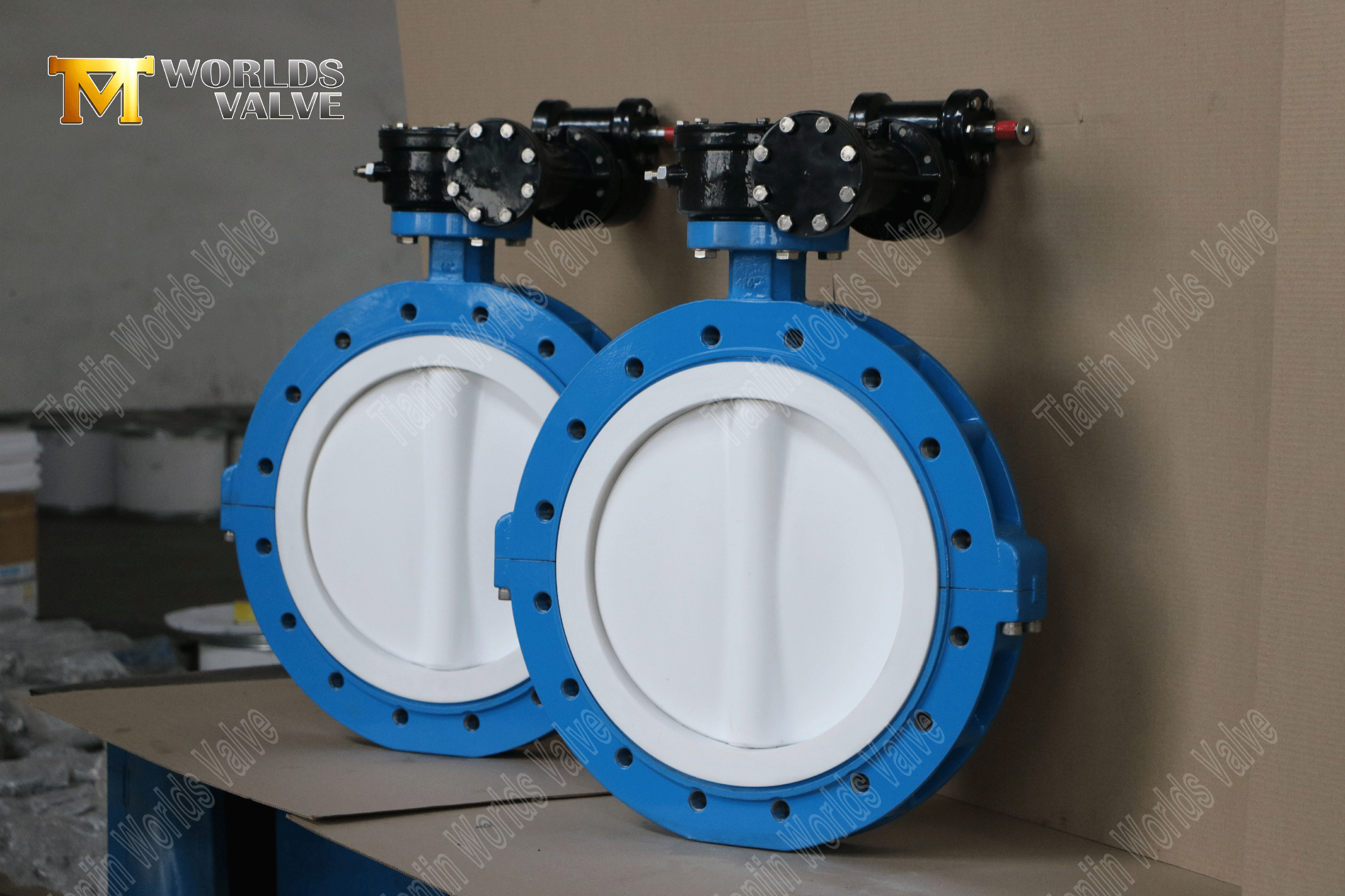Lug Type PTFE Seat & Disc Butterfly Valves with Worm Gear-3 (1)