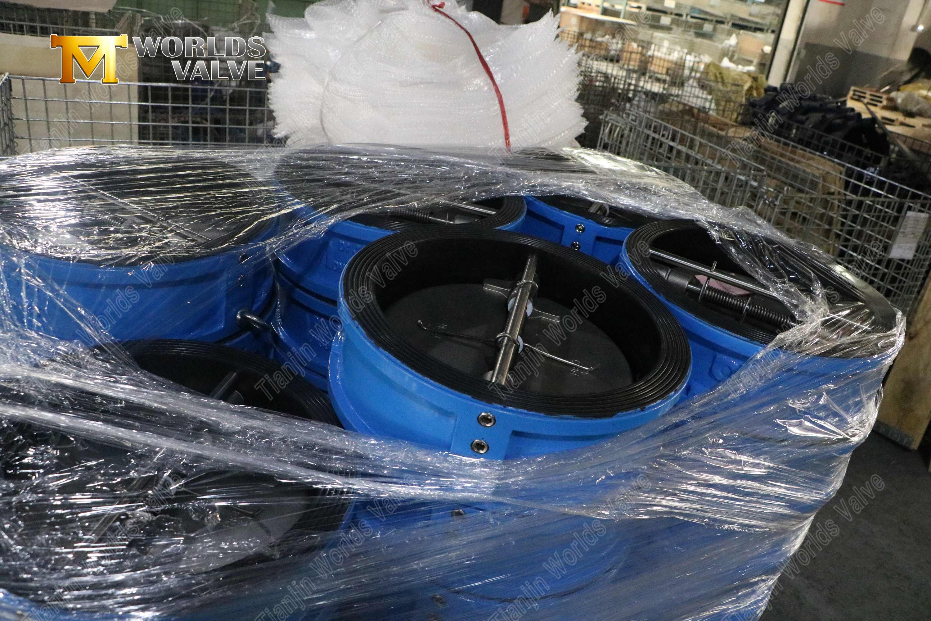 Rubber-Lined-Dual-Plate-Wafer-Check-Valve--Silent-Check-Valve-for-Corrosive-Services-3