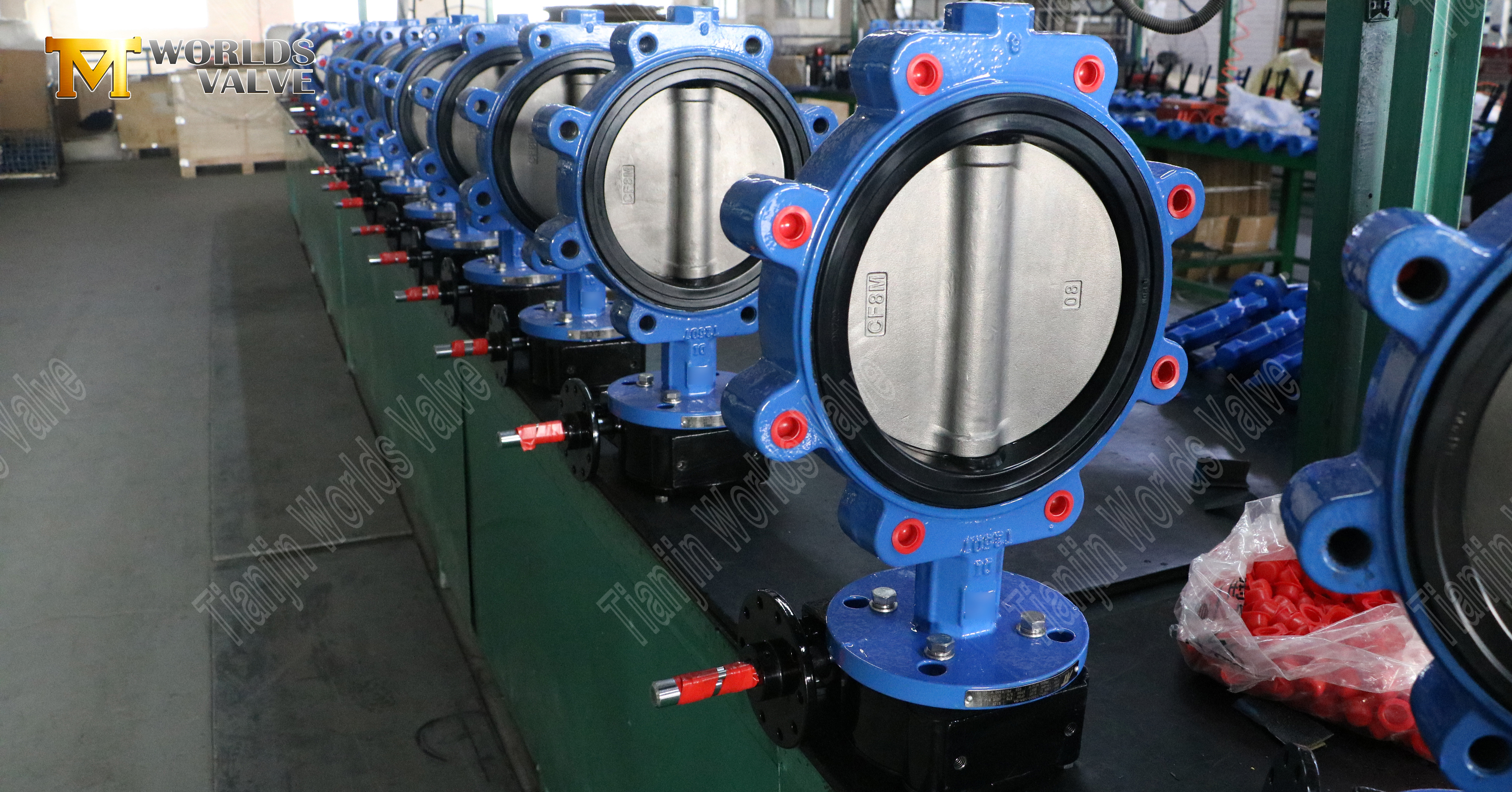 Lug Type Butterfly Valve wuth Soft Rubber Seat and SS disc (1)