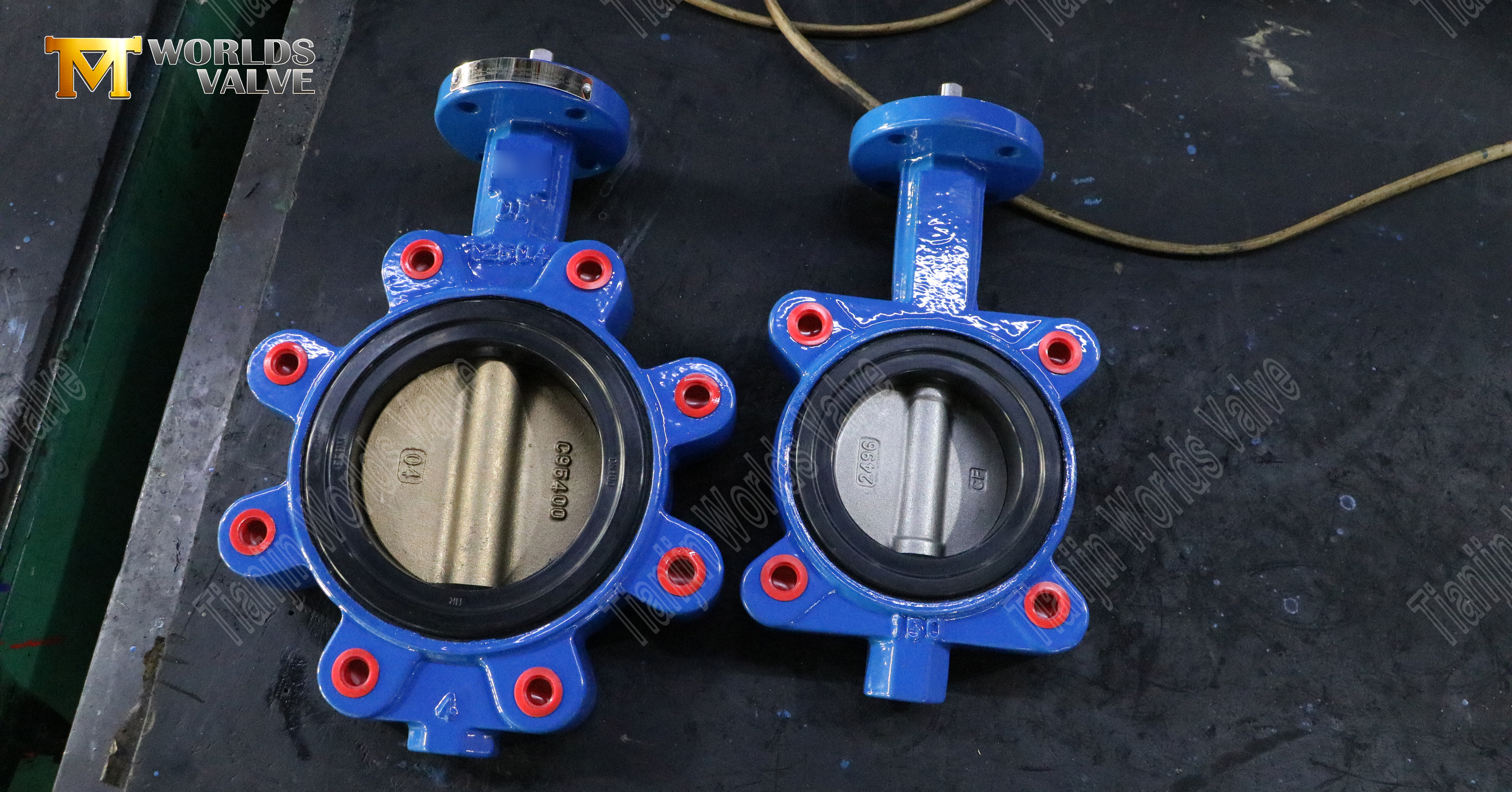 Lug Type Butterfly Valve with CF8M and Aluminum-Bronze Disc(1)