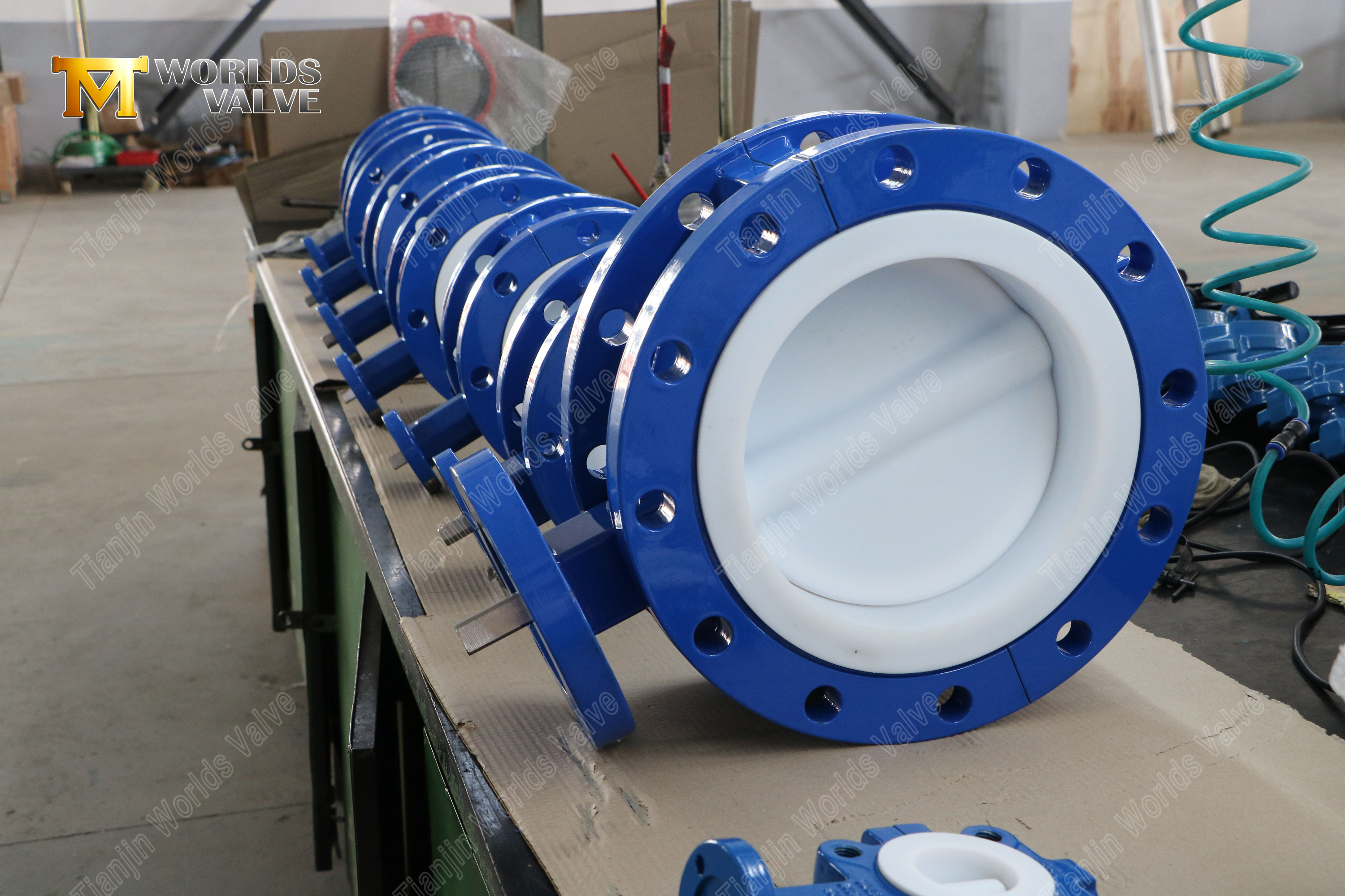 PTFE Lined Flanged Butterfly Valves-1 (4)