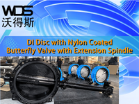 //ikrorwxhnjoklo5p-static.micyjz.com/cloud/loBprKiklmSRmkillorjio/DI-Disc-with-Nylon-Coated-Butterfly-Valve-with-Extension-Spindle.png