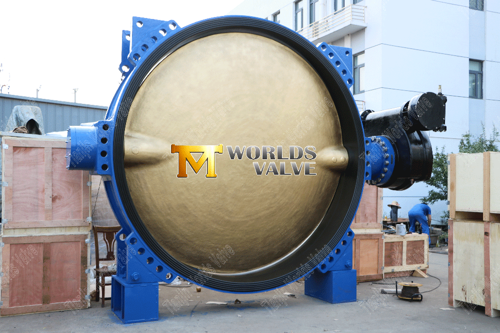 The Largest Rubber Lined Center Line Butterfly Valve in Asia (2)