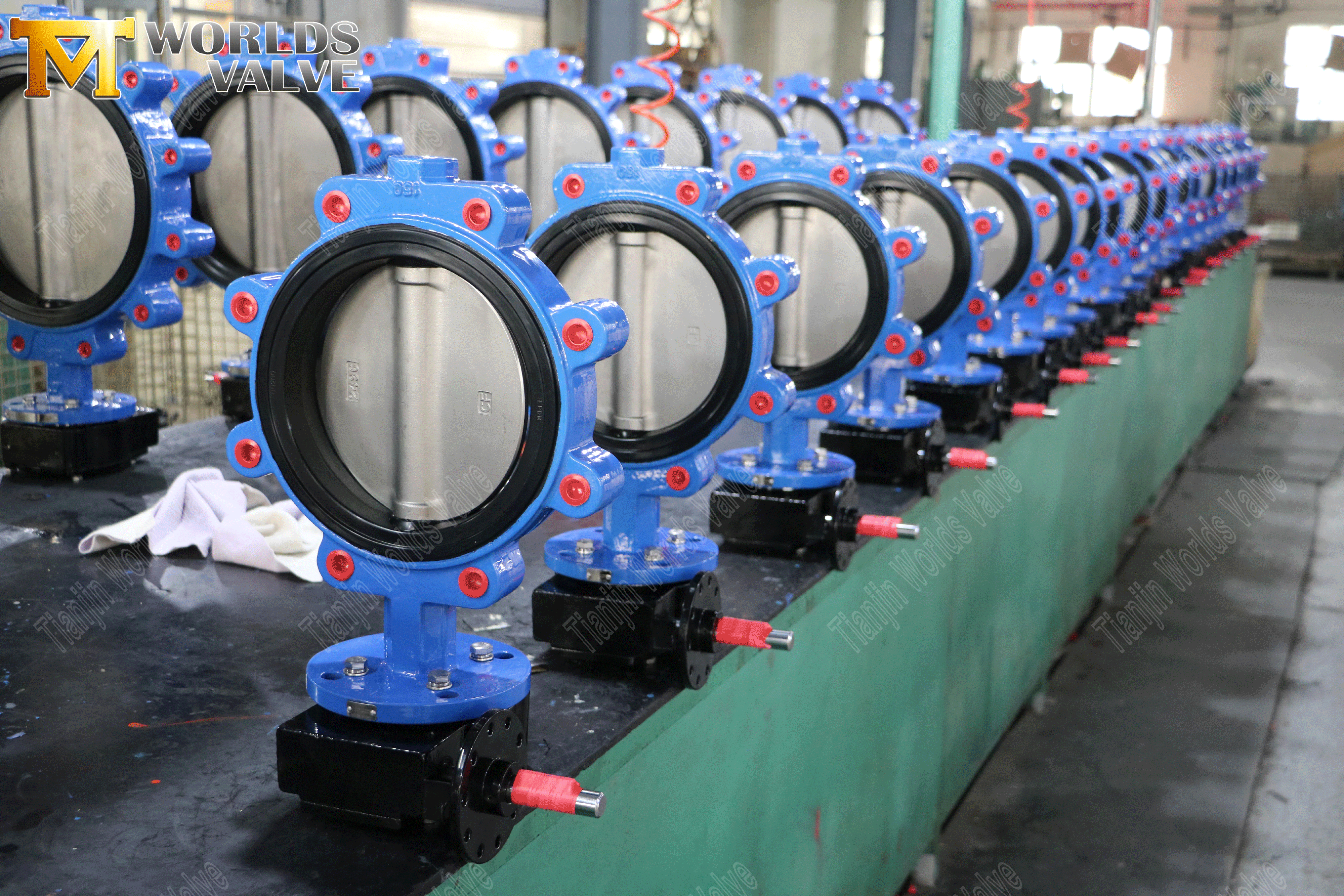 Concentric Butterfly Valve Suppliers - Lug Type Butterfly Valve with EPDM Seat (10)