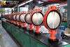 Gear Operator Butterfly Valve with Wafer Type and Soft Back Seat produced by Tianjin Worlds Valve Co.,Ltd.