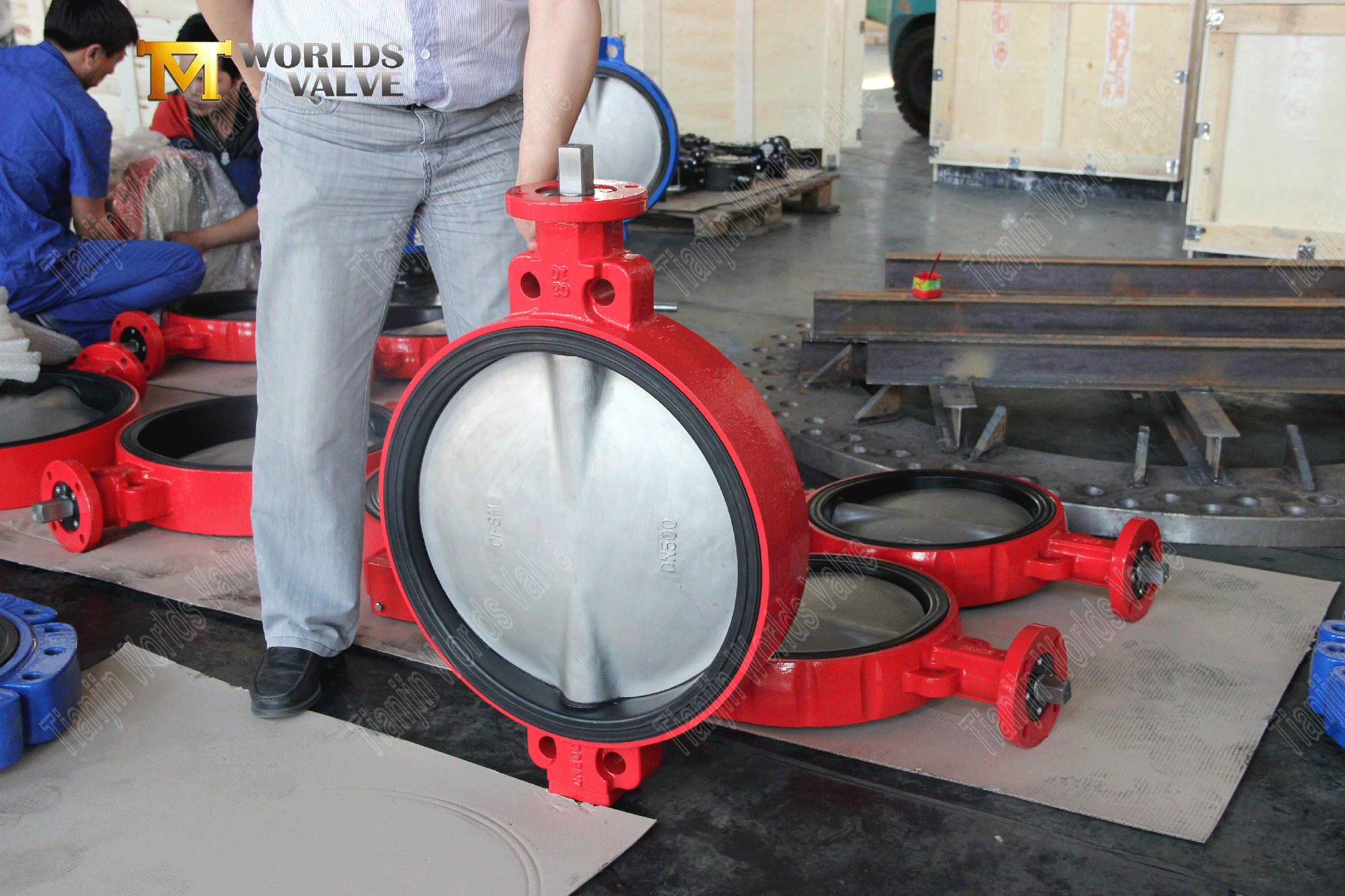 EPDM Seat Wafer Butterfly Valve with SS Disc (2)