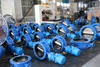 DI Disc Resilient Seated Butterfly Valve with Electric Actuator offered by China OEM Valve Supplier