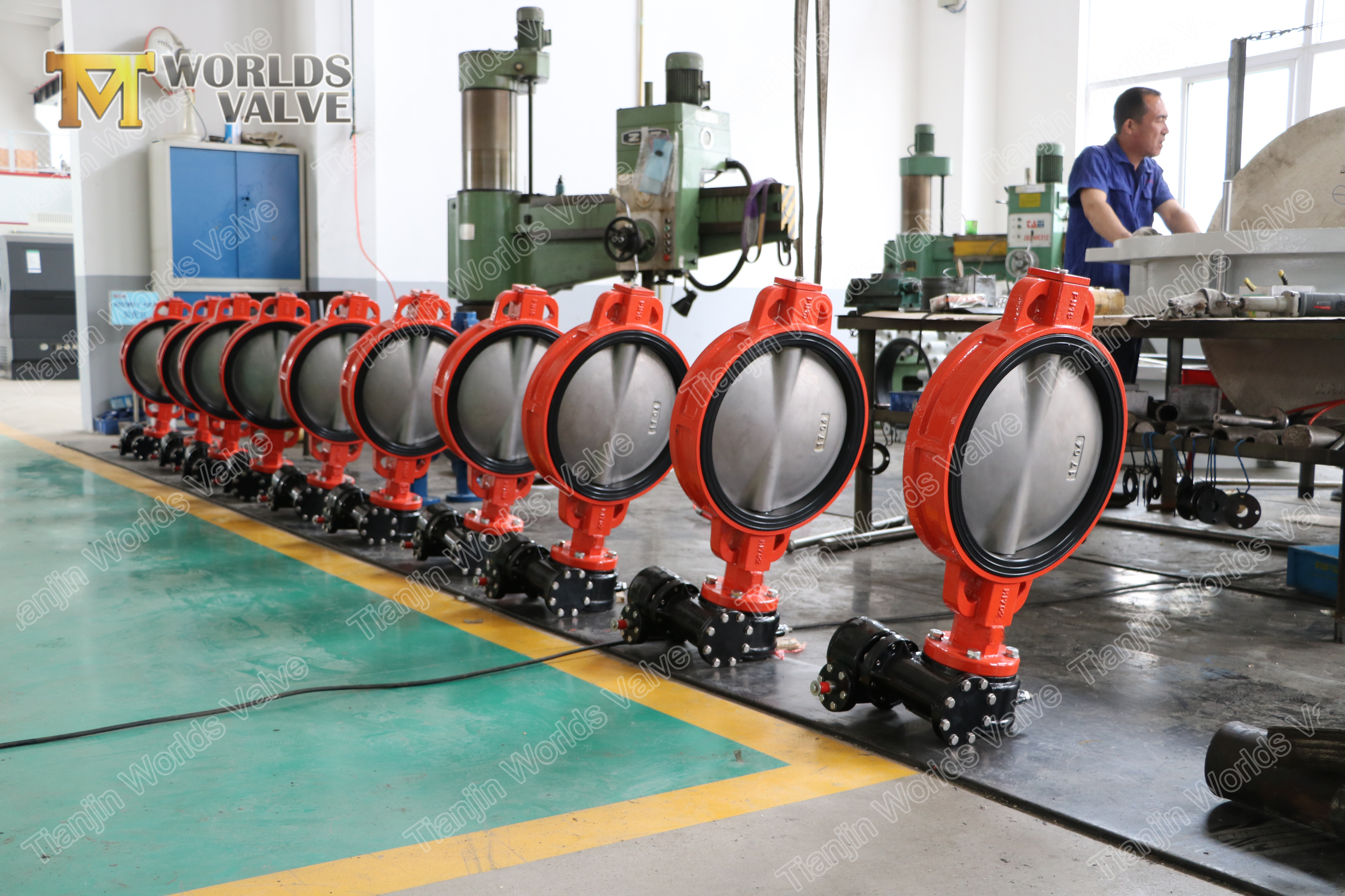 4 WAFER LUG TYPE CONCENTRIC BUTTERFLY VALVE WITHOUT PIN