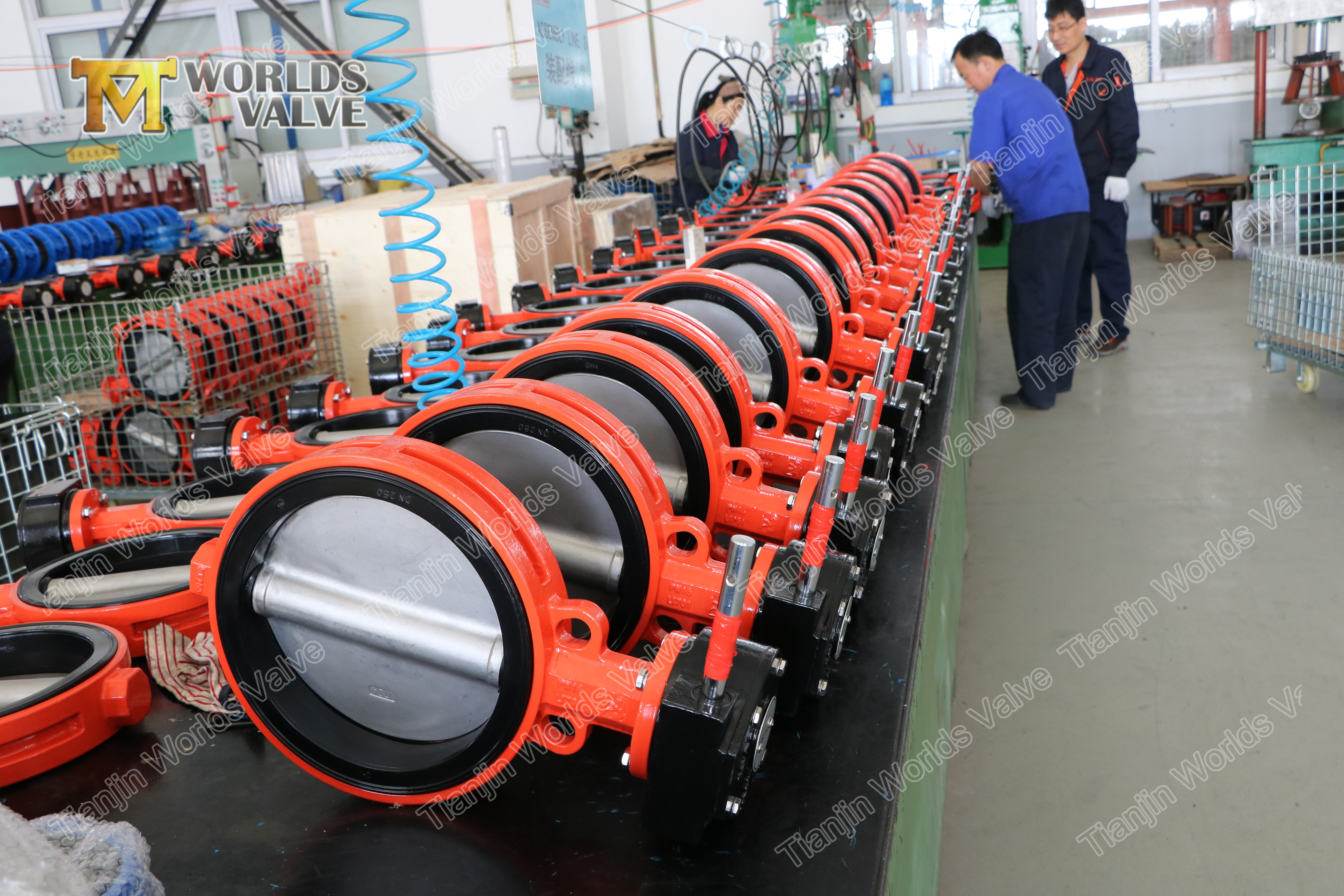 附图2 WAFER LUG TYPE CONCENTRIC BUTTERFLY VALVE WITHOUT PIN