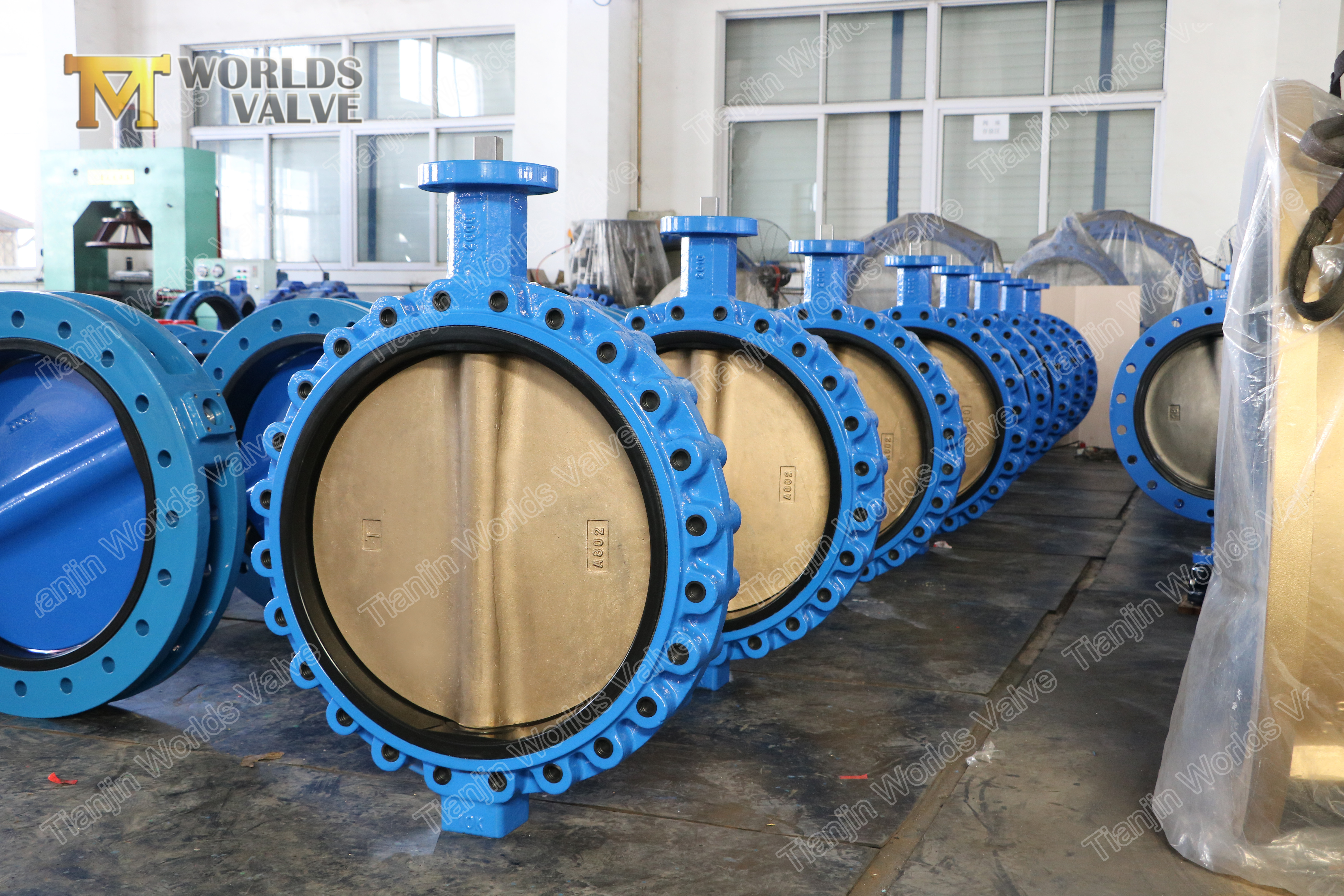 2 Full lugged TYPE CONCENTRIC BUTTERFLY VALVE wuthout TAPER PIN