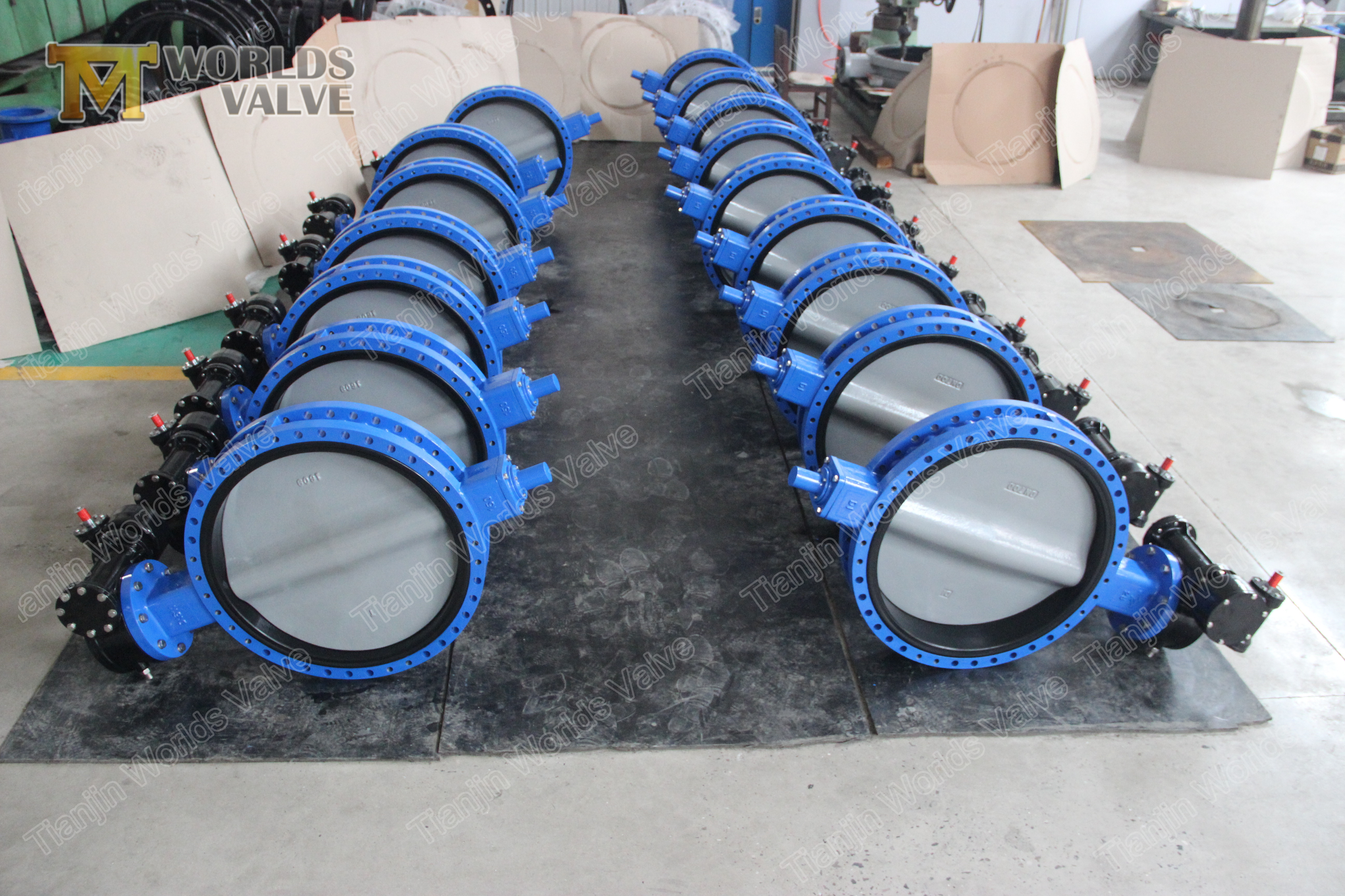 1 U TYPE CONCENTRIC double flange BUTTERFLY VALVE WITHOUT TAPER PIN