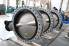 Double Flanges U Type Butterfly Valves with SS Disc