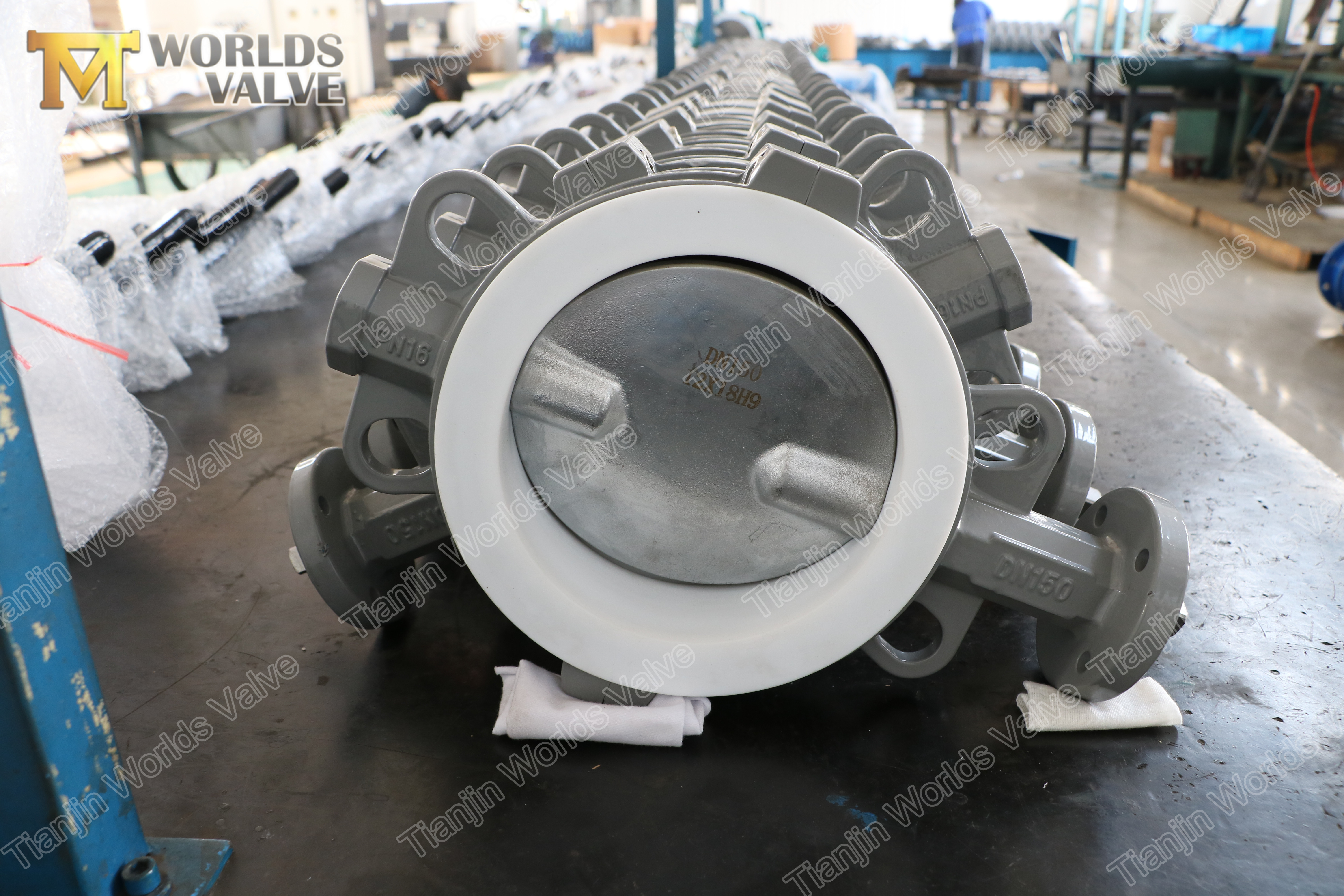 2 Full PTFE lining WAFER TYPE CONCENTRIC BUTTERFLY VALVE