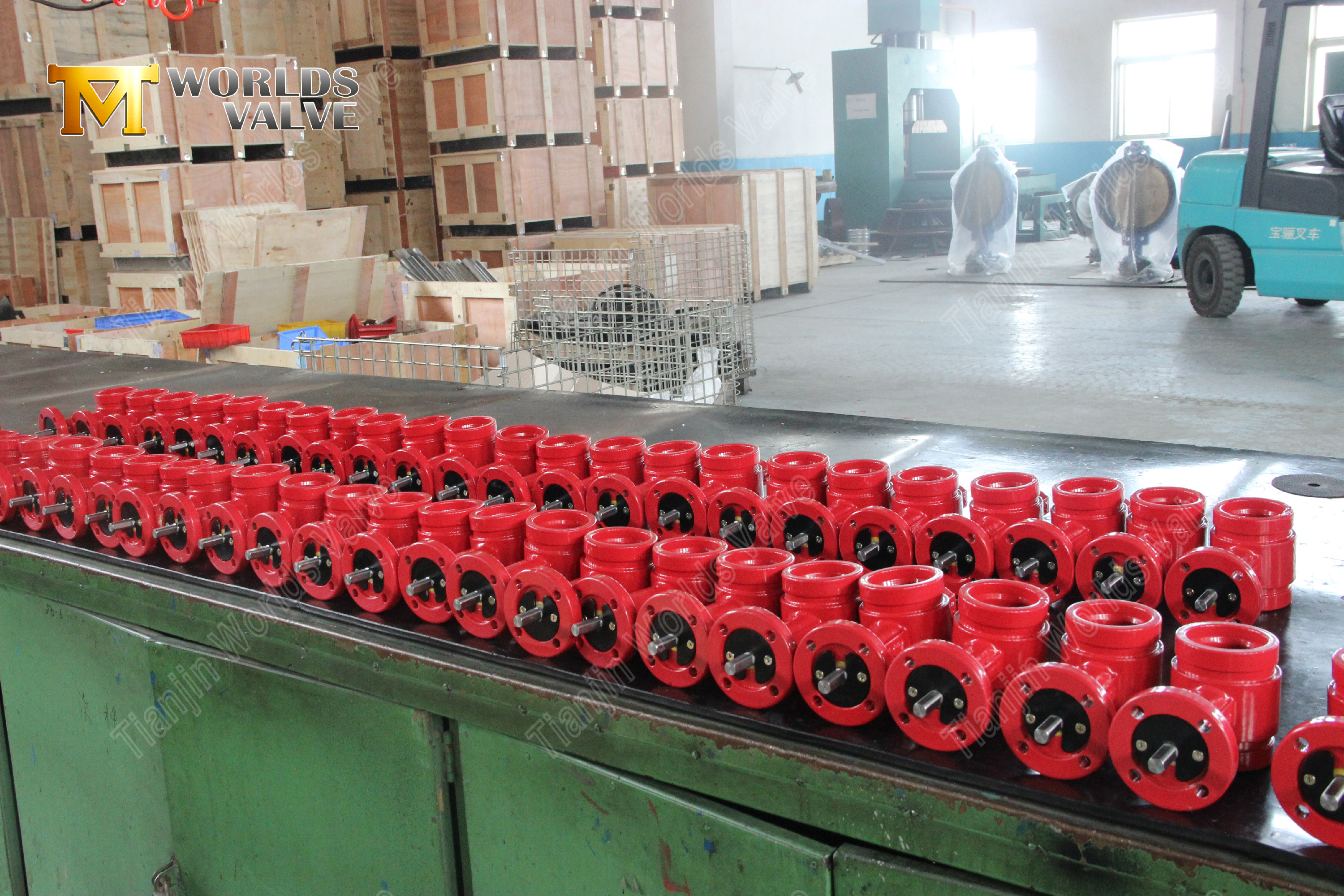 Rows of neatly arranged red grooved valves.