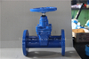 DIN3202 F5 Rubber Gate Valve with Ductil Iron Body with Gearbox