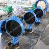 EPDM/NBR Full Lined Wafer Type Flanged Butterfly Valve DIN/ANSI/API