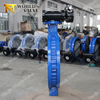 Nylon coated Double Flanged Butterfly Valves Class125 Class150