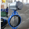 Double Single Acting Pneumatic actuator Butterfly Valve