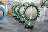 Viton/FKM/FPM Rubber Seat Butterfly Valve for Water